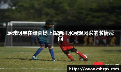 足球明星在绿茵场上挥洒汗水展现风采的激情瞬间