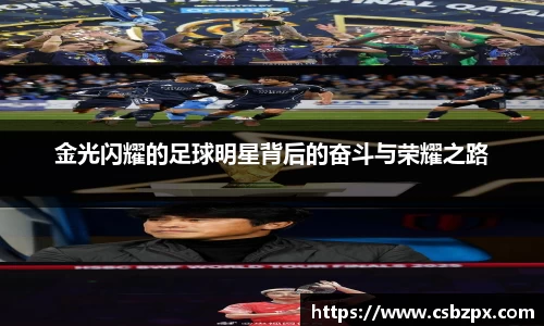 bsport必一官方网站